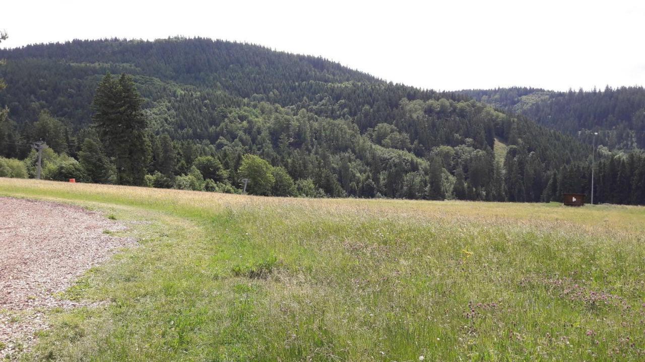 Ferienwohnung Bergwiese Schwarzenbach am Wald Eksteriør bilde