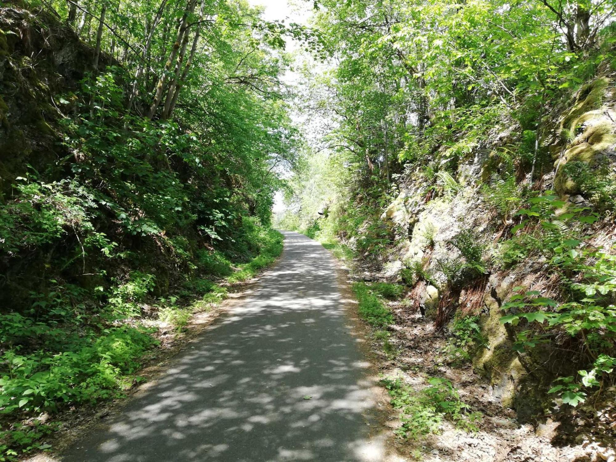 Ferienwohnung Bergwiese Schwarzenbach am Wald Eksteriør bilde